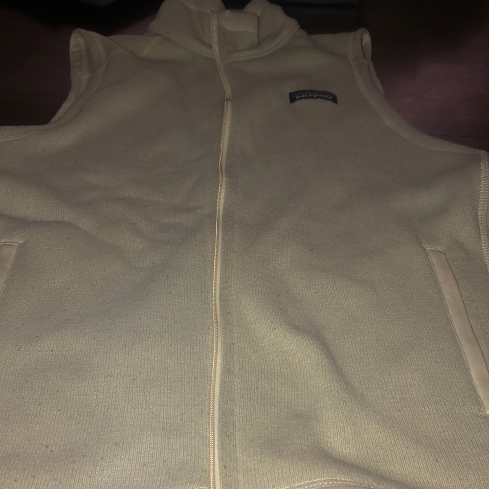 Patagonia vest